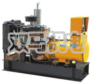 30KW揚動柴油發電機組